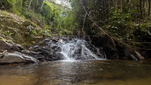 Fazenda/Sítio com 3 Quartos à venda, 400000m² no Lumiar, Nova Friburgo