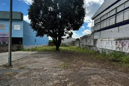 Lote/Terreno para alugar, 555m² no Cancelli, Cascavel