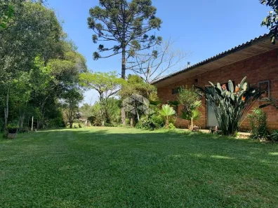 Fazenda/Sítio com 5 Quartos à venda, 8000m² no Nova Sardenha, Farroupilha