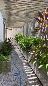 Casa com 3 Quartos para alugar, 230m² no Lagoa Nova, Natal