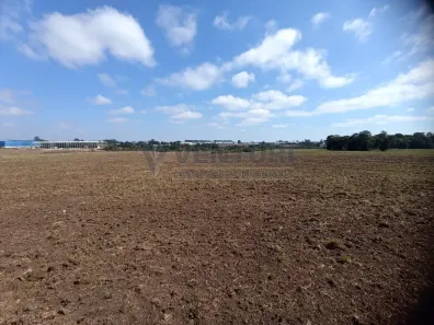 Imóvel Comercial à venda, 41930m² no Colônia Murici, São José dos Pinhais