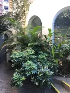 Imóvel Comercial com 12 Quartos para alugar, 454m² no Jardim Botânico, Rio de Janeiro