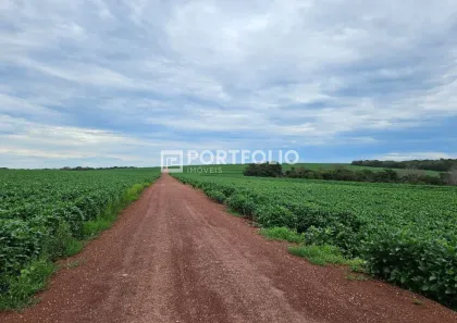Fazenda/Sítio à venda, 22m² no , Doverlândia