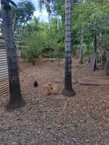 Casa com 3 Quartos à venda, 505m² no Setor Sudoeste, Goiânia