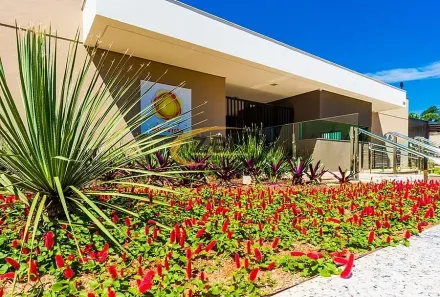 Apartamento com 2 Quartos para alugar, 55m² no Aurora, Londrina