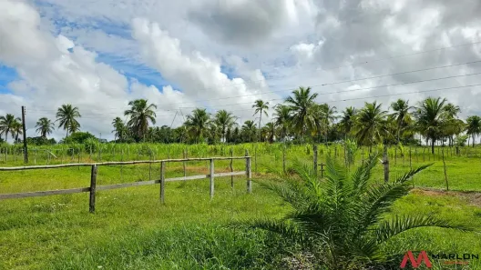 Fazenda/Sítio à venda, 320000m² no , Macaíba