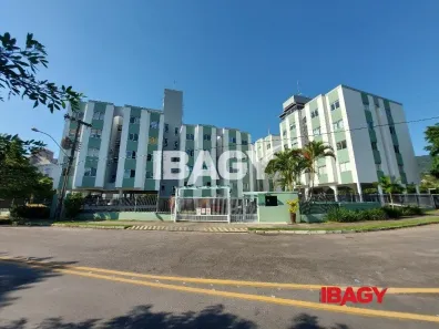 Apartamento com 2 Quartos para alugar, 52m² no Itacorubi, Florianópolis