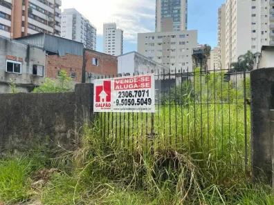 Lote/Terreno para venda ou aluguel, 220m² no Vila Santa Catarina, São Paulo