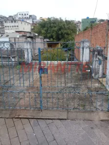 Lote/Terreno à venda, 491m² no Vila Amélia, São Paulo