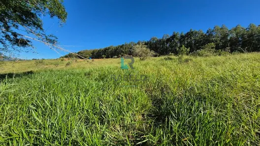 Lote/Terreno à venda, 1000m² no , Canas