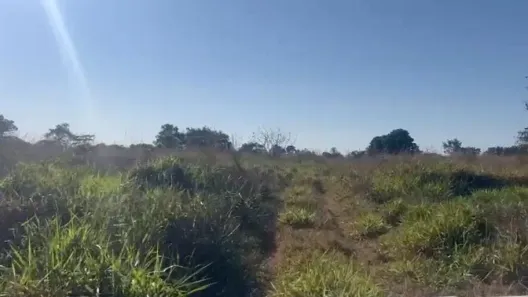 Fazenda/Sítio com 4 Quartos à venda, 123m² no , Nossa Senhora do Livramento
