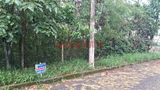 Lote/Terreno à venda, 1100m² no Caraguatá, Mairiporã
