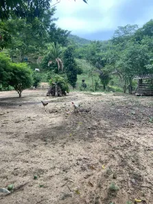 Fazenda/Sítio à venda, 1450000m² no , Niquelândia
