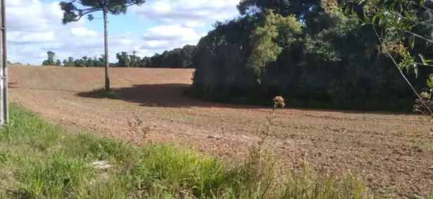 Fazenda/Sítio à venda, 119635m² no Tietê, Araucária