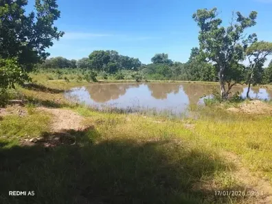 Fazenda/Sítio com 3 Quartos à venda, 250m² no , Faina
