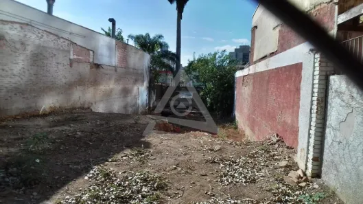 Lote/Terreno para venda ou aluguel, 295m² no Cambuí, Campinas