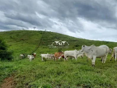 Fazenda/Sítio com 11 Quartos à venda, 550m² no Vila Nicolau Melick, Paraíba do Sul