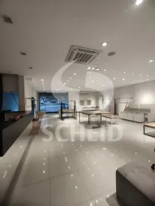 Imóvel Comercial para alugar, 820m² no Vila Mascote, São Paulo