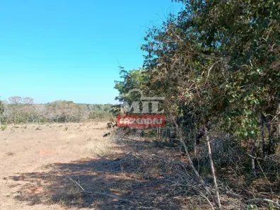 Fazenda/Sítio à venda, 1m² no , Guiratinga