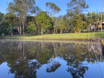 Fazenda/Sítio com 6 Quartos à venda, 4000m² no Dos Borges, Embu-Guaçu