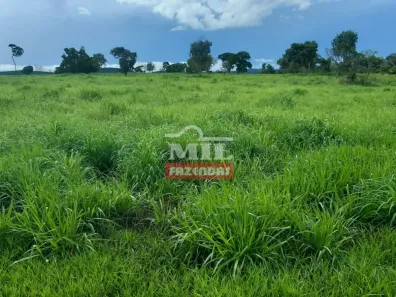 Fazenda/Sítio à venda, 363m² no , Mozarlândia