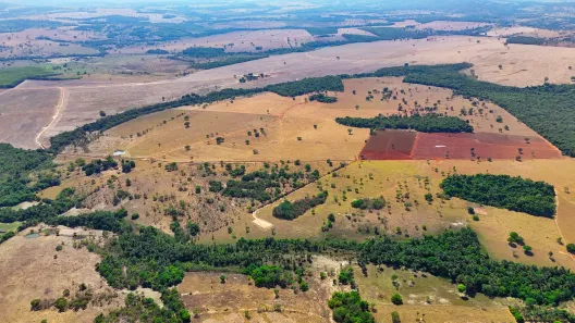 Fazenda/Sítio com 3 Quartos à venda, 1584132m² no Chácara, Jaraguá
