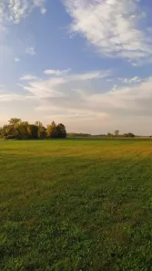 Lote/Terreno à venda, 500m² no Jardim Floresta, Ibiúna