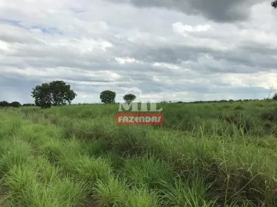 Fazenda/Sítio à venda, 1m² no , Flores de Goiás