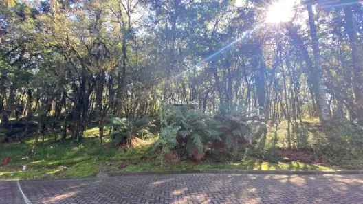 Lote/Terreno à venda, 745m² no , Canela