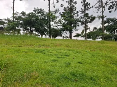 Lote/Terreno à venda, 125m² no das Pedras, Cotia