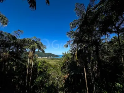 Lote/Terreno à venda, 2100m² no Pântano do Sul, Florianópolis