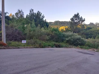 Lote/Terreno à venda, 325m² no São Virgílio, Caxias do Sul