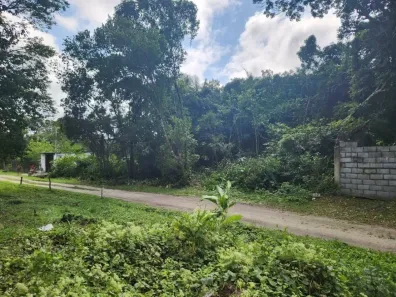 Lote/Terreno à venda, 2400m² no São Fernando, Itanhaém