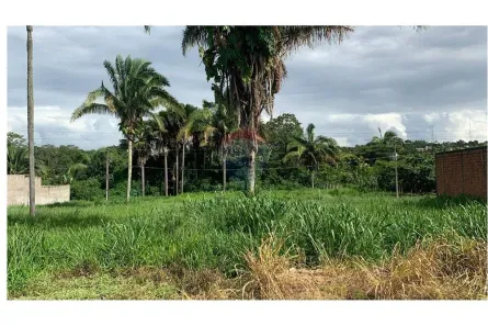 Lote/Terreno à venda, 250m² no Jardim dos Ipês I, Araguaína