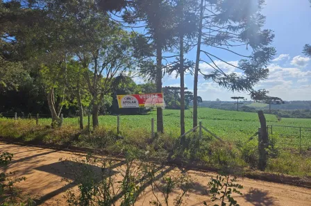 Lote/Terreno à venda, 47366m² no Eucaliptos, Fazenda Rio Grande
