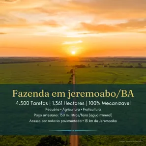 Fazenda/Sítio à venda, 13612500m² no Centro, Jeremoabo