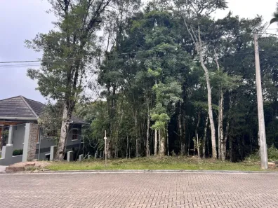 Lote/Terreno à venda, 390m² no Ipe Roxo, Gramado