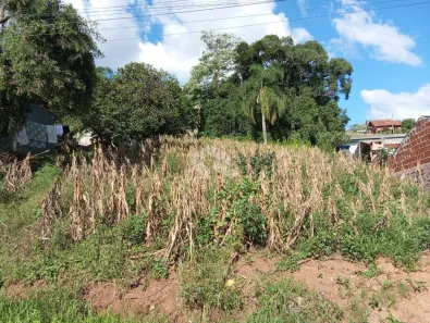 Lote/Terreno à venda, 660m² no Nova Petrópolis, Nova Petrópolis