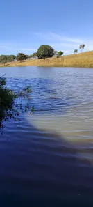 Fazenda/Sítio à venda, 20m² no Área Rural de Abadia de Goiás, Abadia de Goiás
