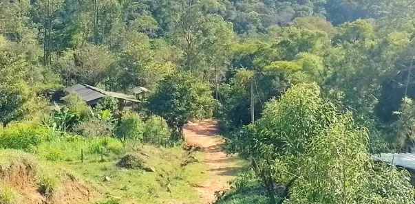 Fazenda/Sítio com 3 Quartos à venda, 314600m² no , Trajano de Moraes