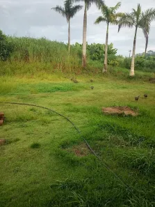 Fazenda/Sítio com 2 Quartos à venda, 110m² no Bairro da Geada, Limeira