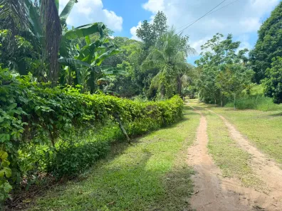 Fazenda/Sítio com 2 Quartos à venda, 20000m² no Área Rural de Cachoeiras de Macacu, Cachoeiras de Macacu
