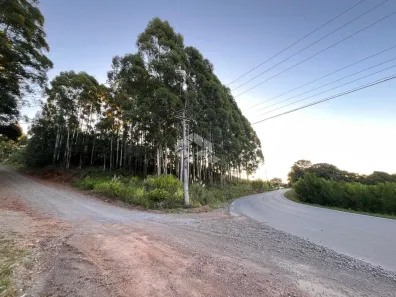 Lote/Terreno à venda, 6440m² no Centro, Pinto Bandeira