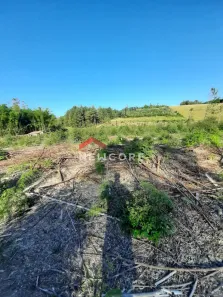 Fazenda/Sítio à venda, 8700m² no Morungava II (Morungava), Gravataí