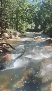 Fazenda/Sítio à venda, 48m² no , Cocalzinho de Goiás