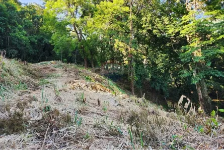 Lote/Terreno à venda, 854m² no Itanhangá, Rio de Janeiro