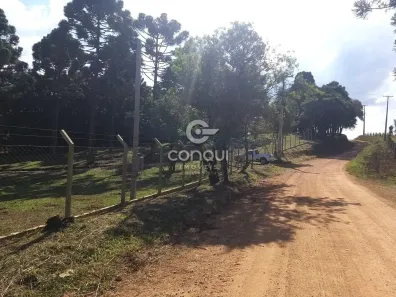 Fazenda/Sítio à venda, 20000m² no Campestre da Faxina, São José dos Pinhais
