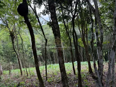 Lote/Terreno à venda, 1168m² no , Guaramiranga
