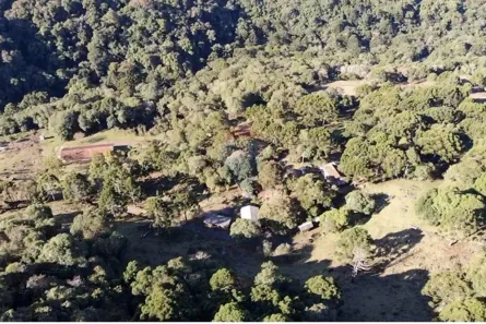 Fazenda/Sítio à venda, 750000m² no , Capão Alto
