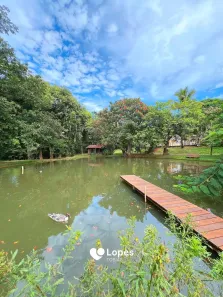 Fazenda/Sítio com 5 Quartos à venda, 145200m² no Área Rural de Miraluz, Neves Paulista